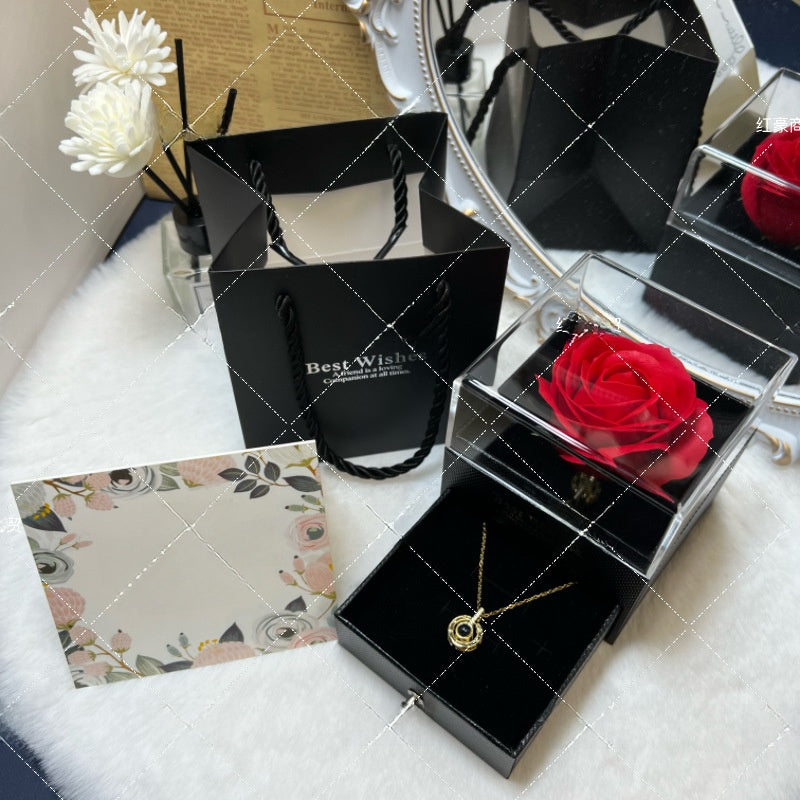 Projection Necklace Set