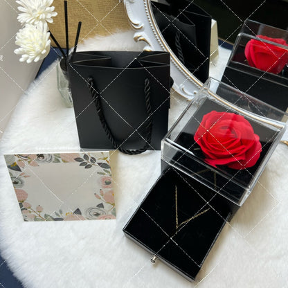 Projection Necklace Set