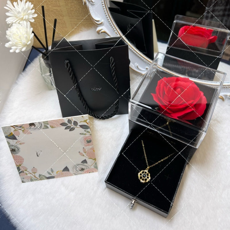 Projection Necklace Set