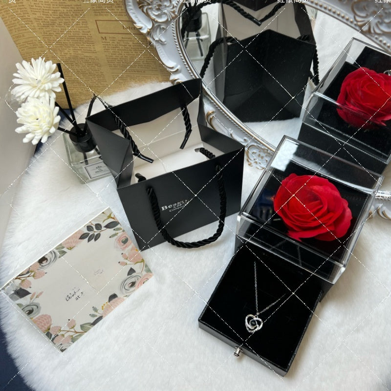 Projection Necklace Set