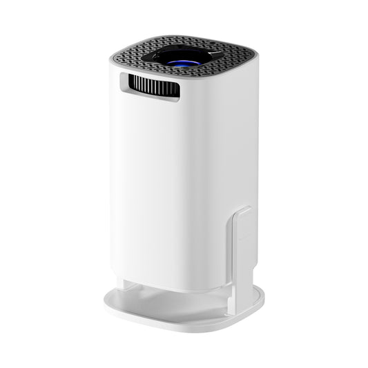 Projector