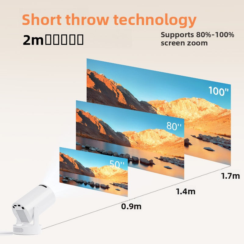 Projector