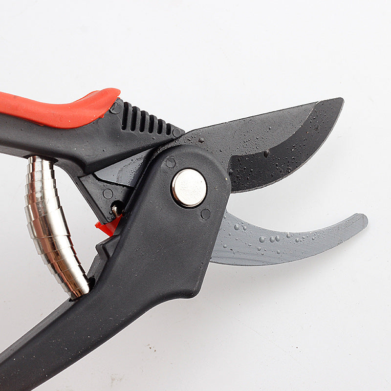 Pruning Shears for Fruit Trees