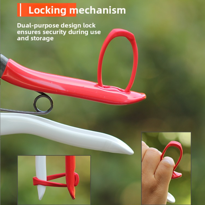 pruning shears