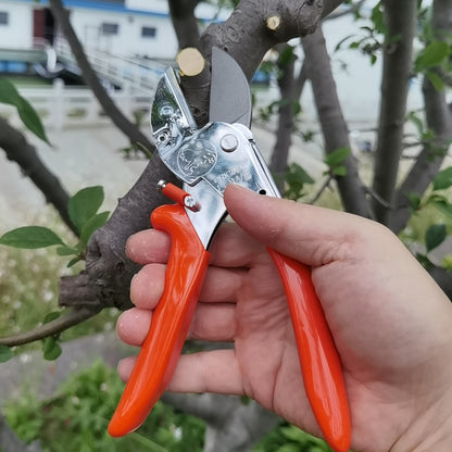 pruning shears