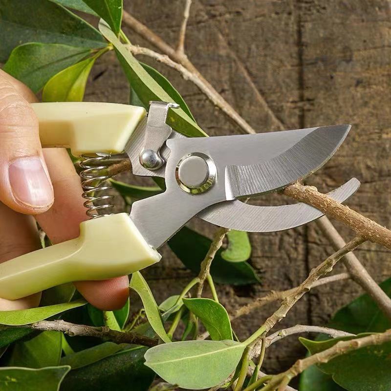 pruning shears