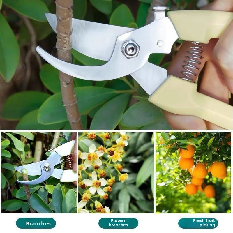 pruning shears