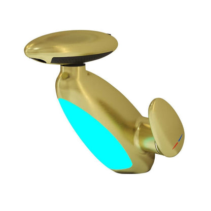 Pull Out Faucet