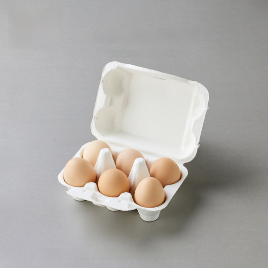 Pulp Egg Tray