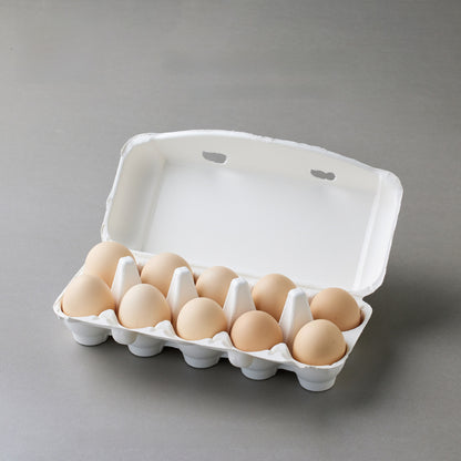 Pulp Egg Tray
