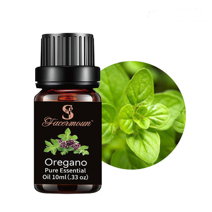 Pure Plant Essential Oils for Aromatherapy and Skincare