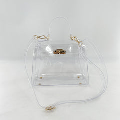 Gold buckle transparent