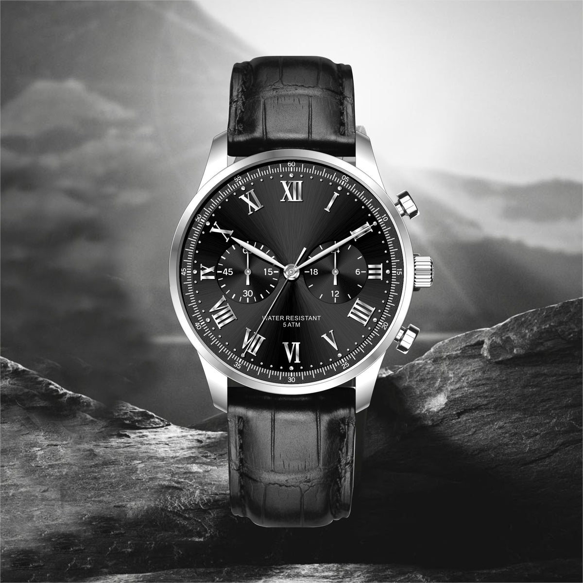 Quartz Wrist Watch