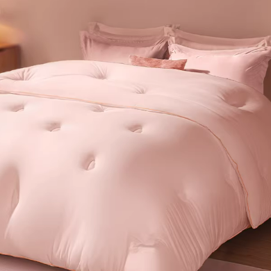 Quilt Core for All Seasons, Summer Cooling Quilt, Air Conditioning Quilt, Soybean Quilt, Cotton Quilt, Dormitory Single Student Winter Quilt, Spring and Autumn Quilt