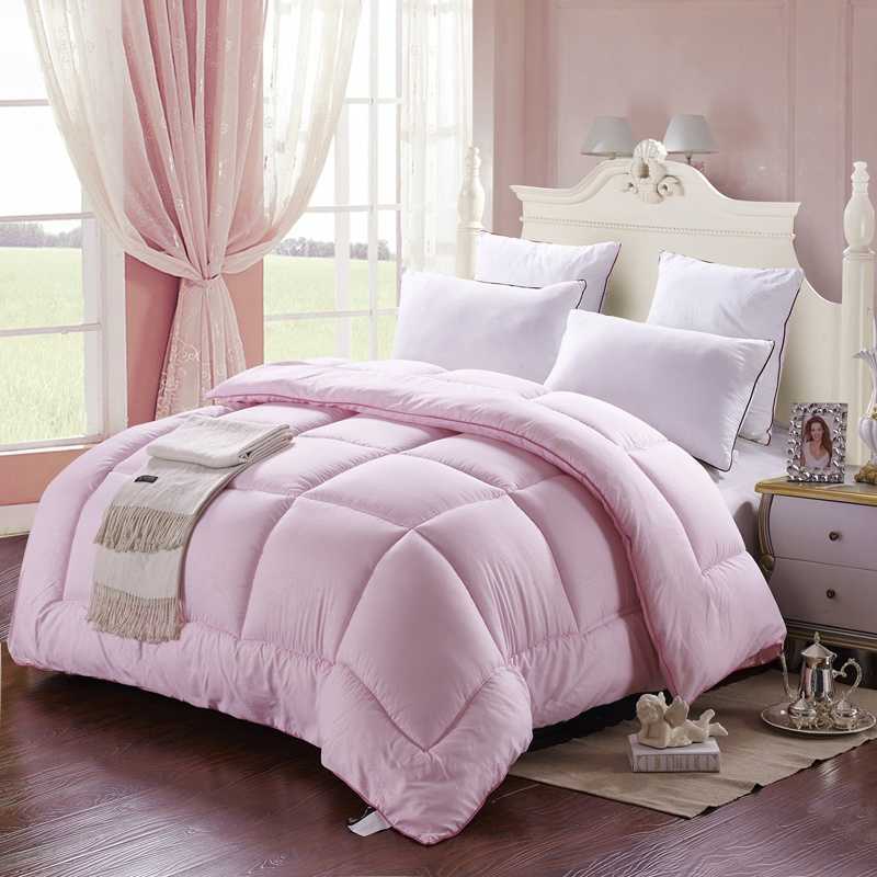 Quilt Hotel Spring and Autumn Quilt Core Winter Quilt Thickened