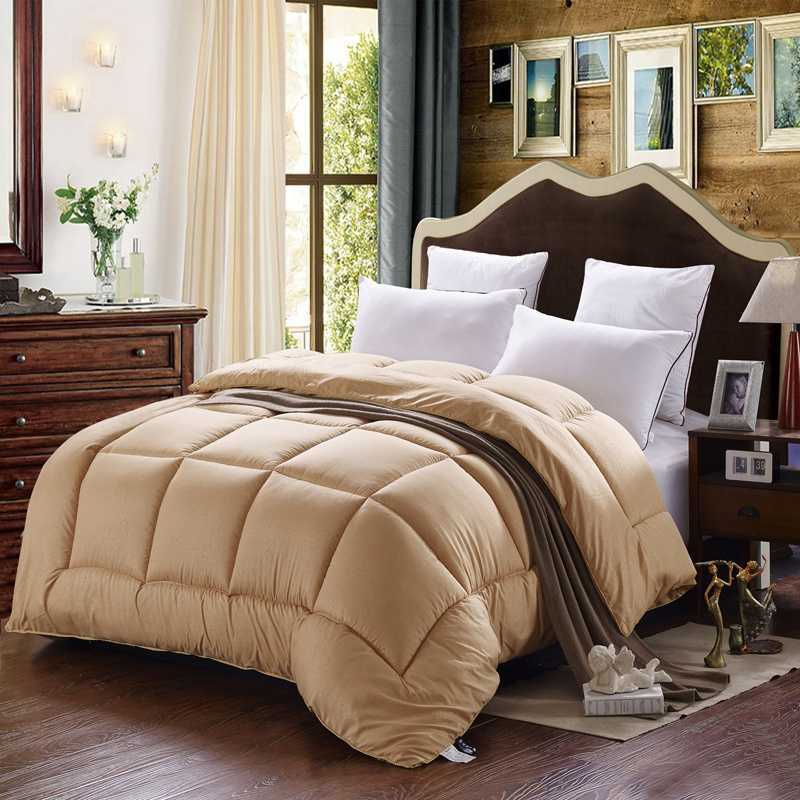 Quilt Hotel Spring and Autumn Quilt Core Winter Quilt Thickened