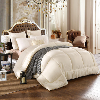 Quilt Hotel Spring and Autumn Quilt Core Winter Quilt Thickened