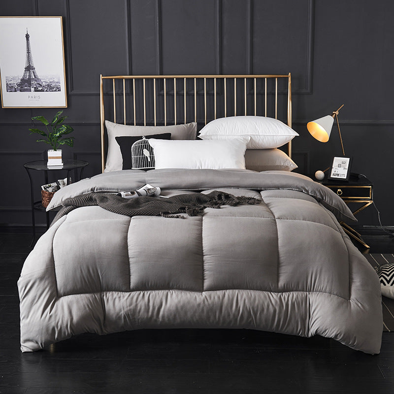 Quilt Hotel Spring and Autumn Quilt Core Winter Quilt Thickened