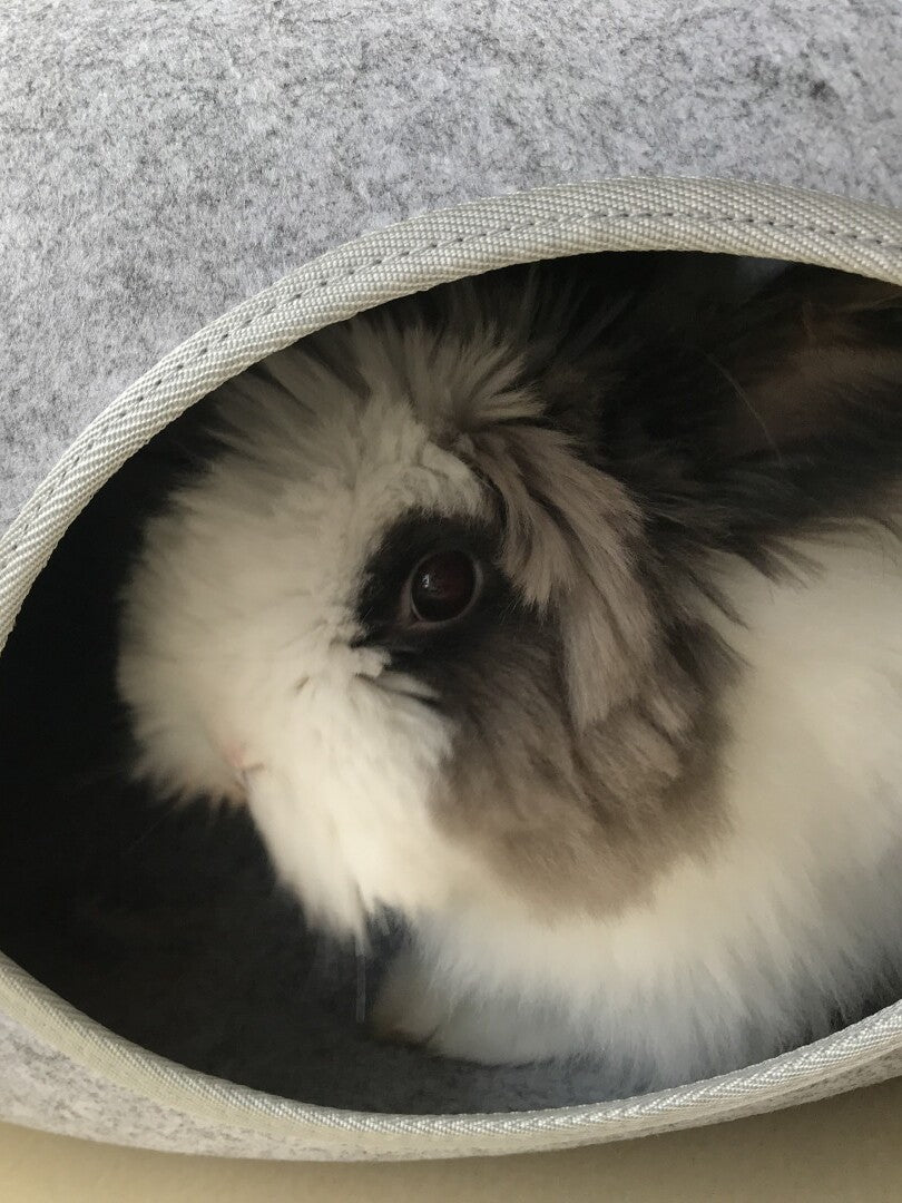 Rabbit house toy