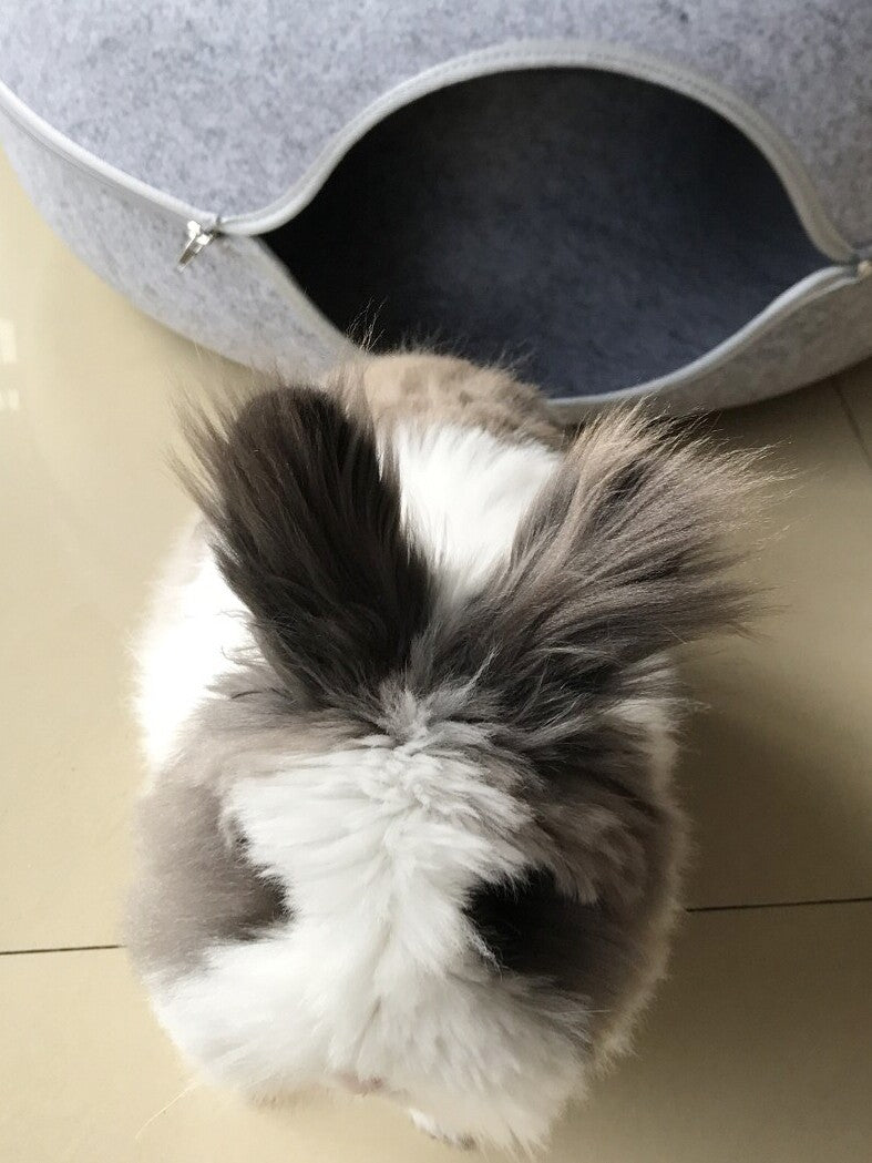 Rabbit house toy