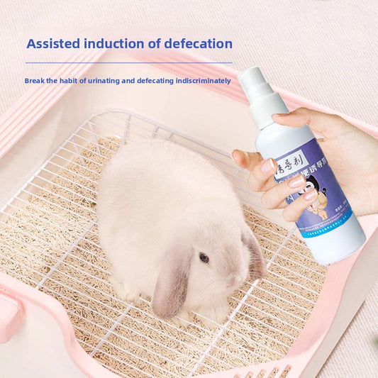 Rabbit Litter Box