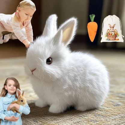 Rabbit Plush Toy