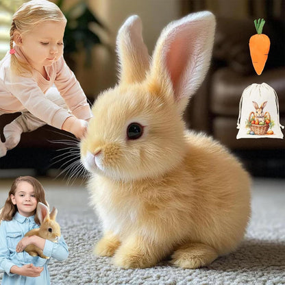 Rabbit Plush Toy