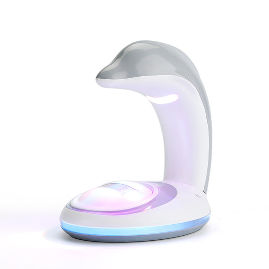 Rainbow LED Projection Night Light