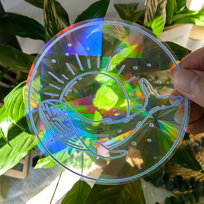 Rainbow Window Decal Sticker