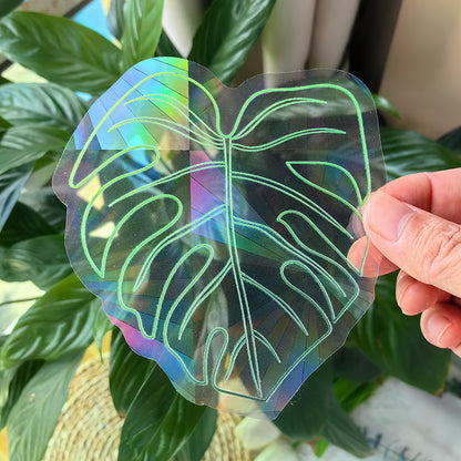 Rainbow Window Decal Sticker
