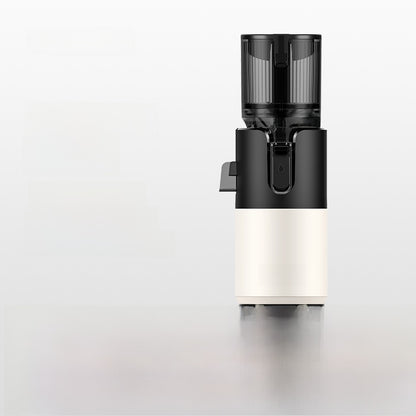 Raw juicer