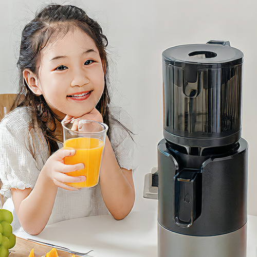 Raw juicer