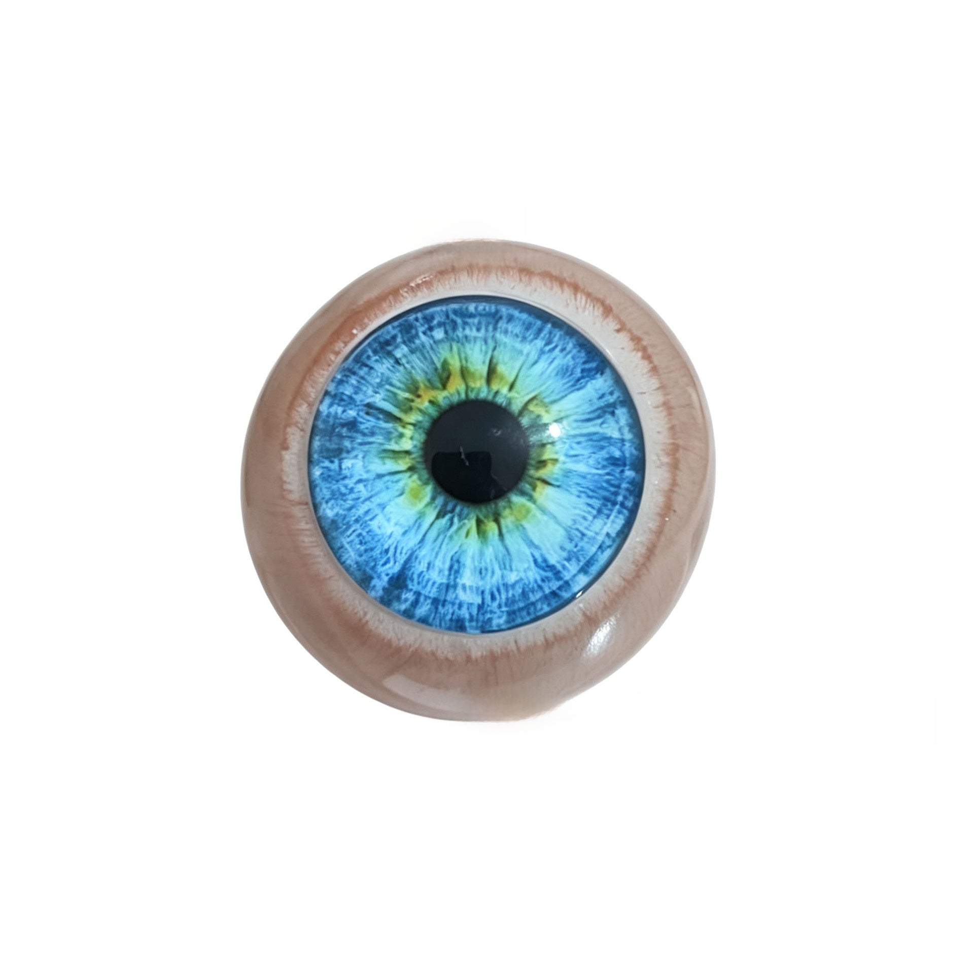 Realistic eyeball ornament