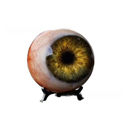 Realistic eyeball ornament