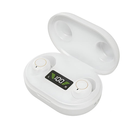 Rechargeable Digital Hearing Amplifier
