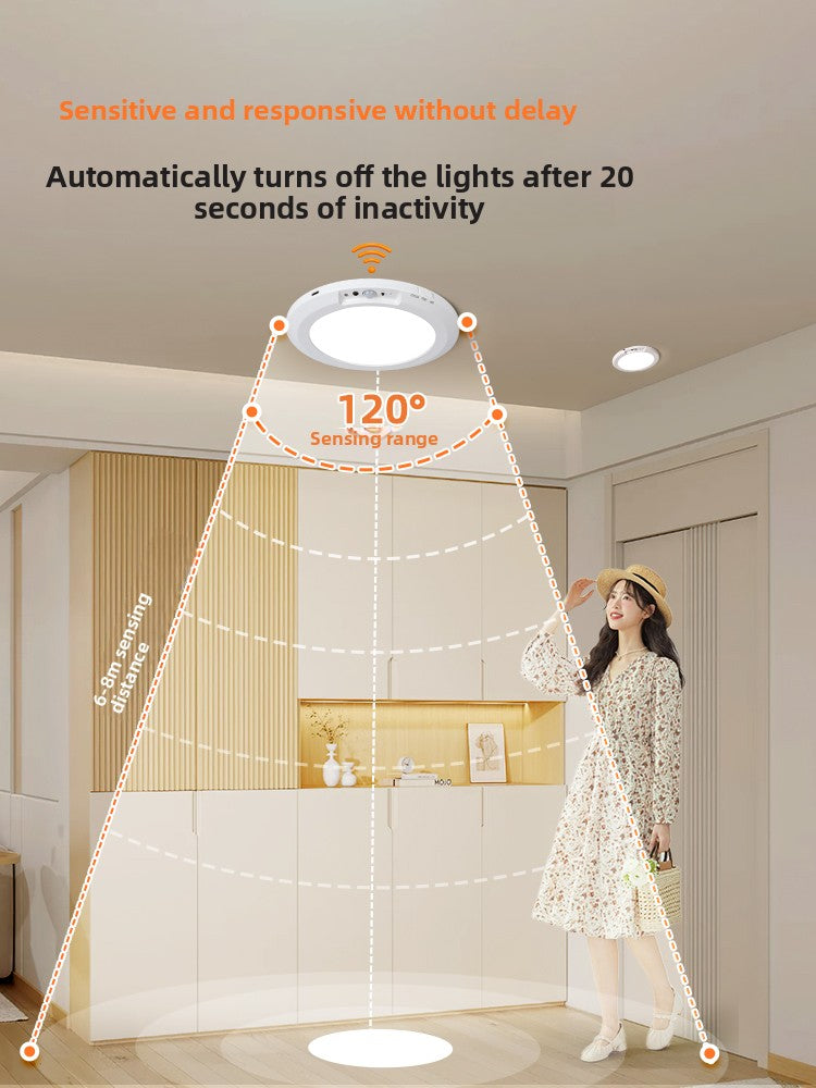 Rechargeable Motion Sensor Ceiling Light with Remote