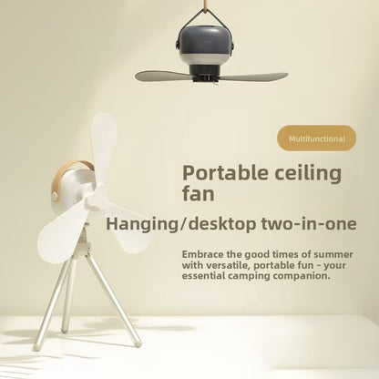 Rechargeable Remote Control Ceiling Fan