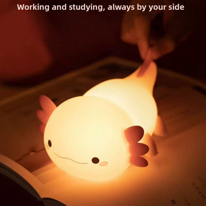 Rechargeable timer night light