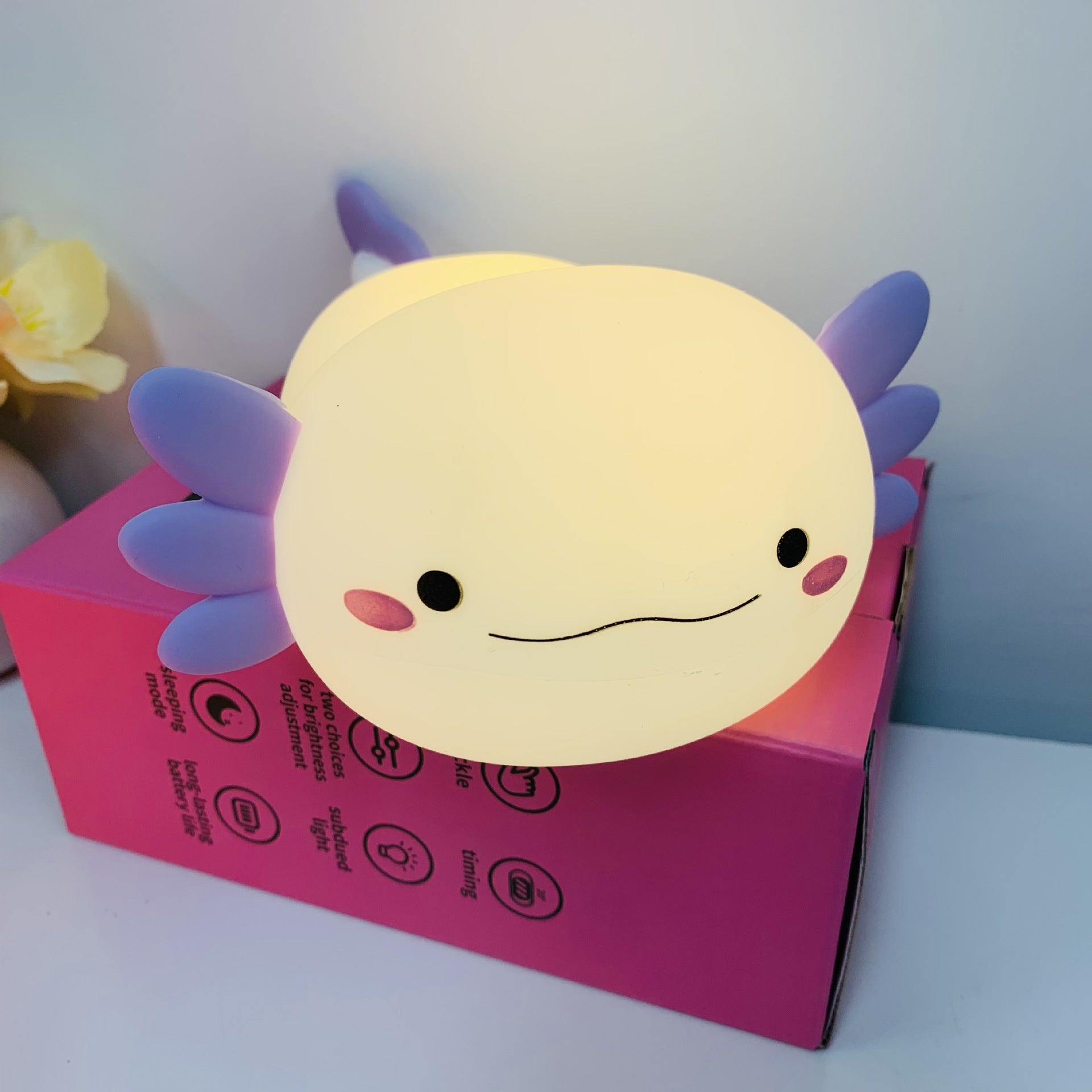 Rechargeable timer night light