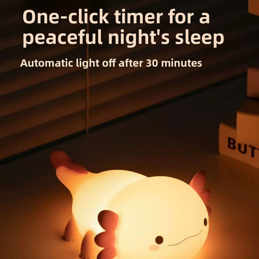 Rechargeable timer night light