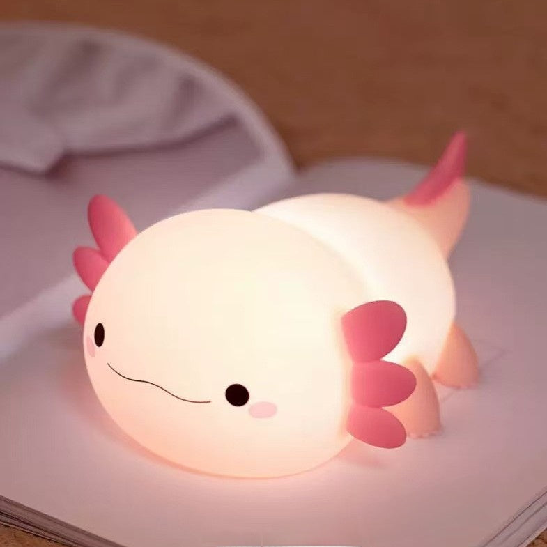 Rechargeable timer night light