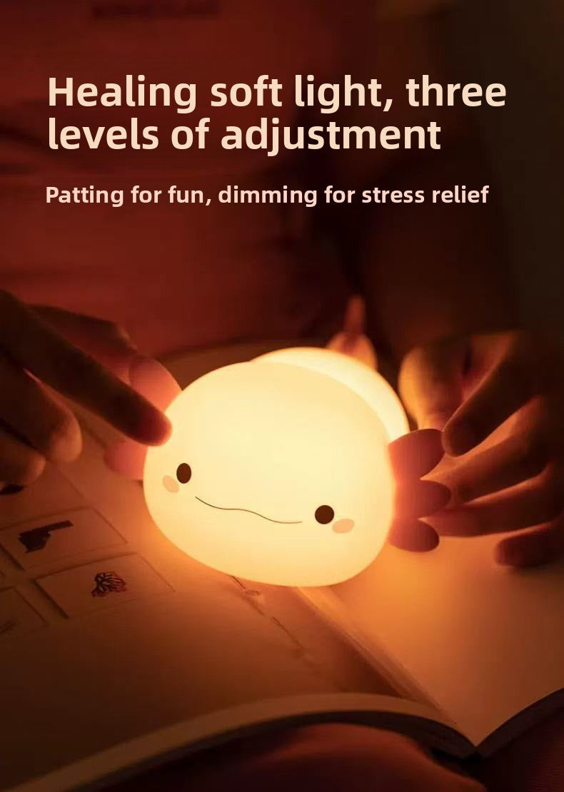 Rechargeable timer night light