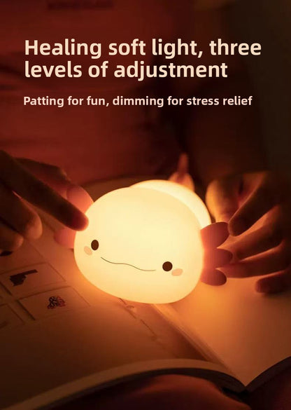 Rechargeable timer night light