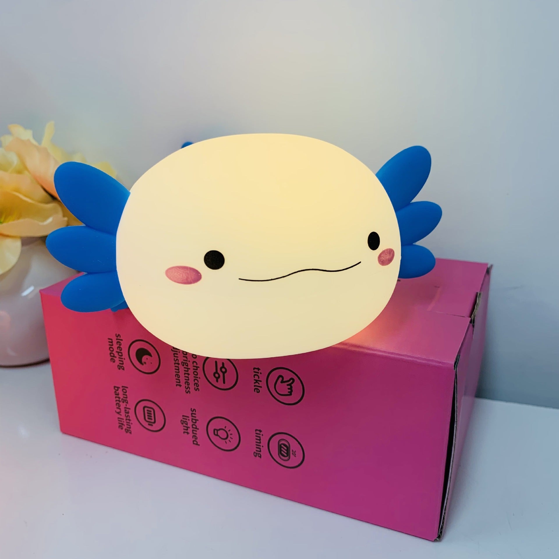 Rechargeable timer night light