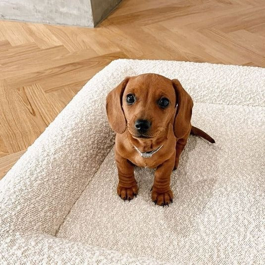 Rectangular dog pad, detachable