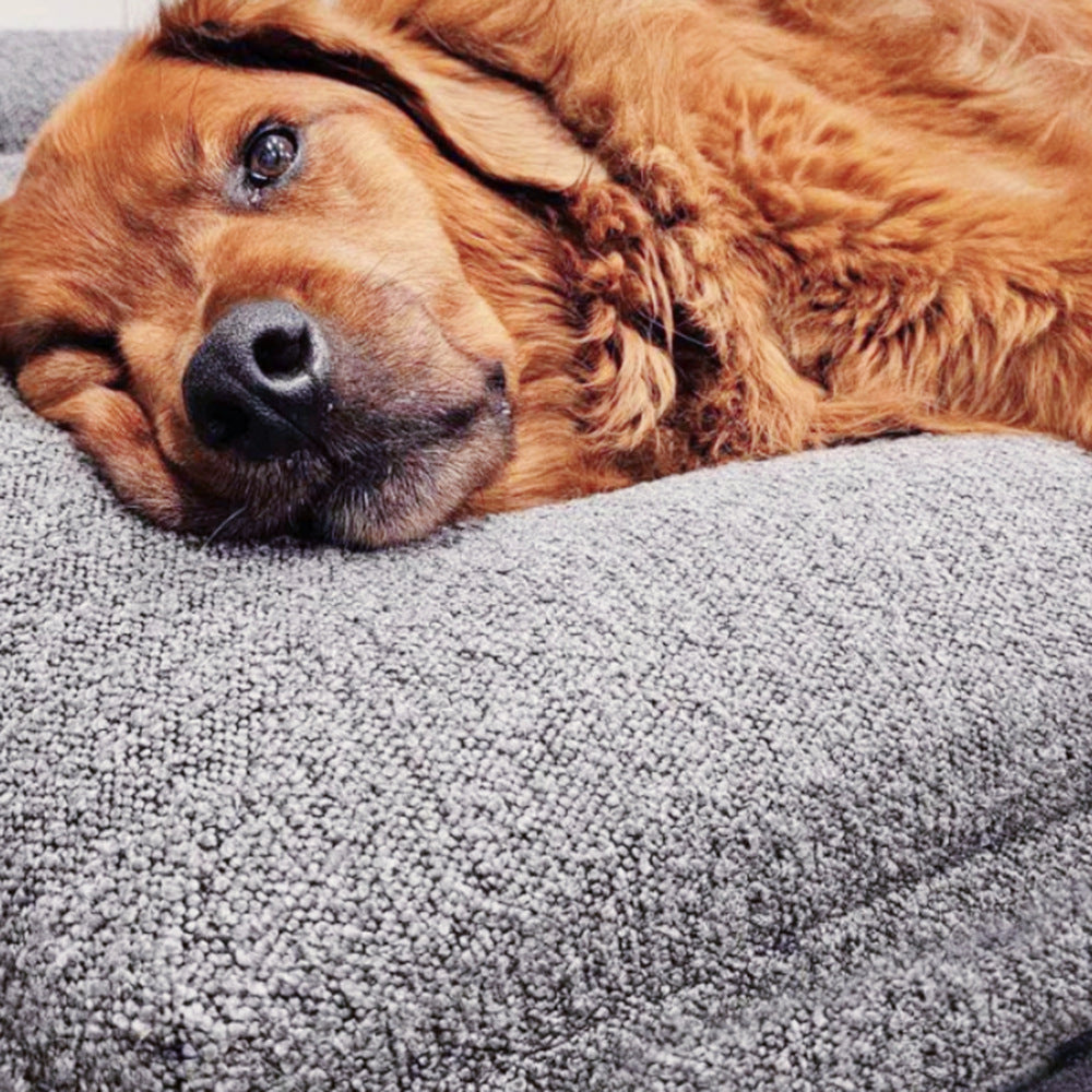 Rectangular Pet Bed Sofa for Dogs and Cats