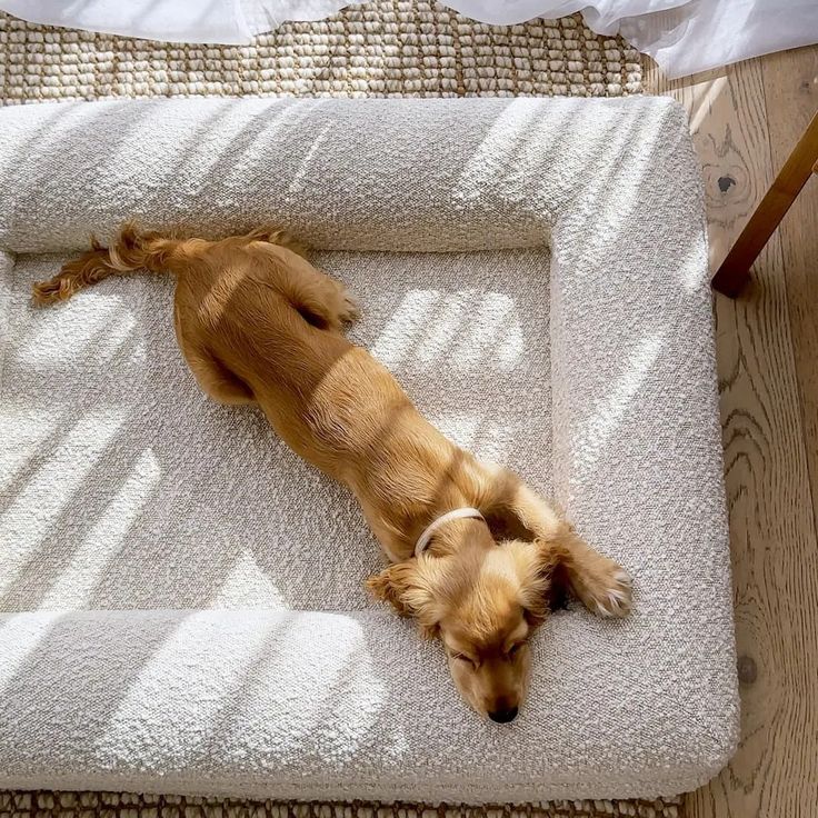 Rectangular Pet Bed Sofa for Dogs and Cats