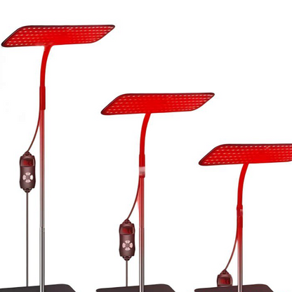 Red Light Lamp