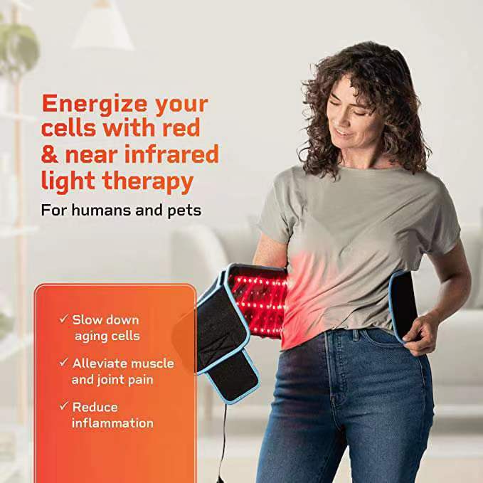Red light physiotherapy belt