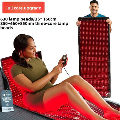 Red light therapy physiotherapy instrument
